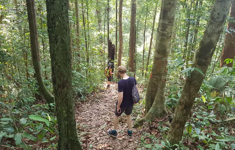 5-Day or 8-Day Trek, Pedal, & Paddle the Sarawak Rainforest